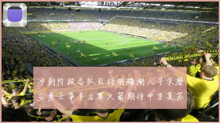 冲刺阶段各队目标明确湖人寻求磨合勇士争季后赛火箭期待申京复苏