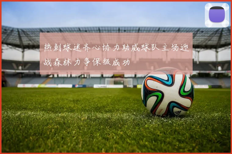 热刺球迷齐心协力助威球队主场迎战森林力争保级成功